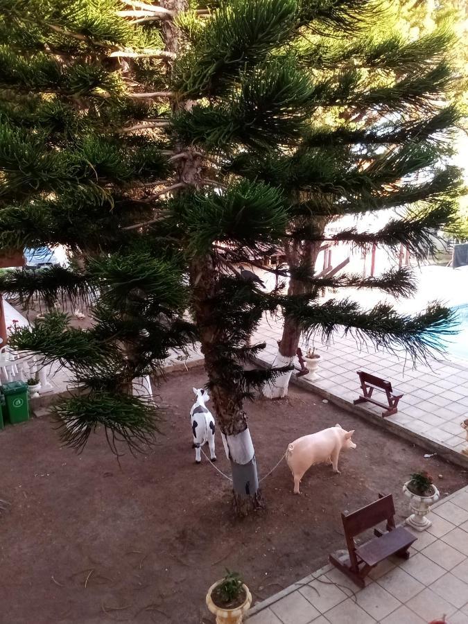 Anastasia Holiday Apartments Paphos ภายนอก รูปภาพ
