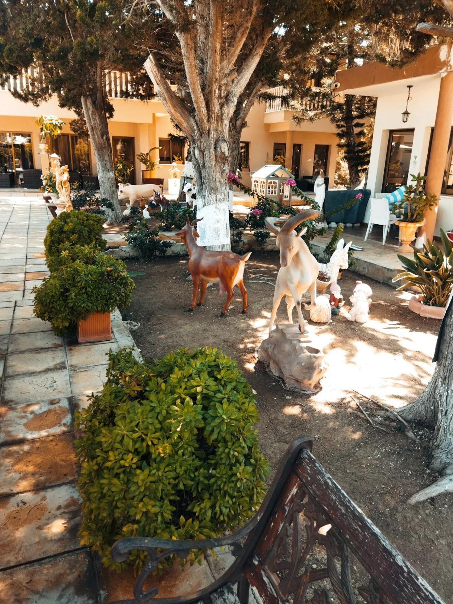 Anastasia Holiday Apartments Paphos ภายนอก รูปภาพ